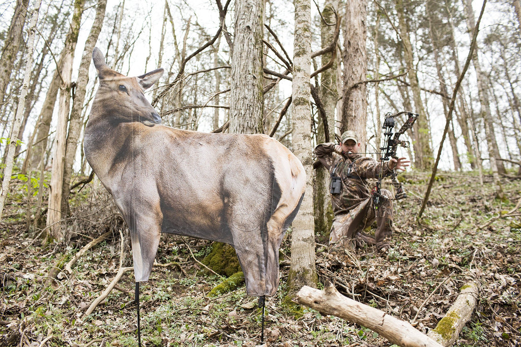 Rmef Cow Elk By Montana Decoy