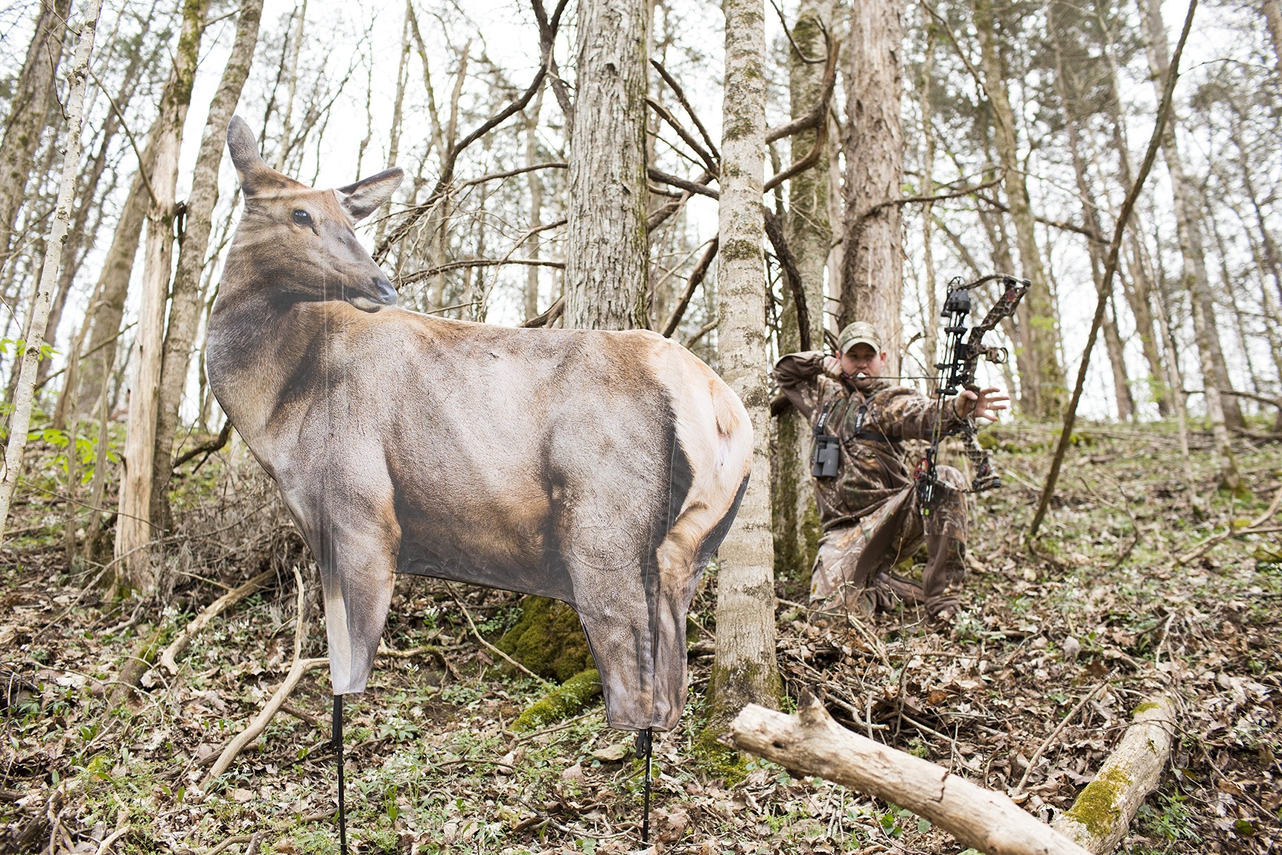 Rmef Cow Elk By Montana Decoy