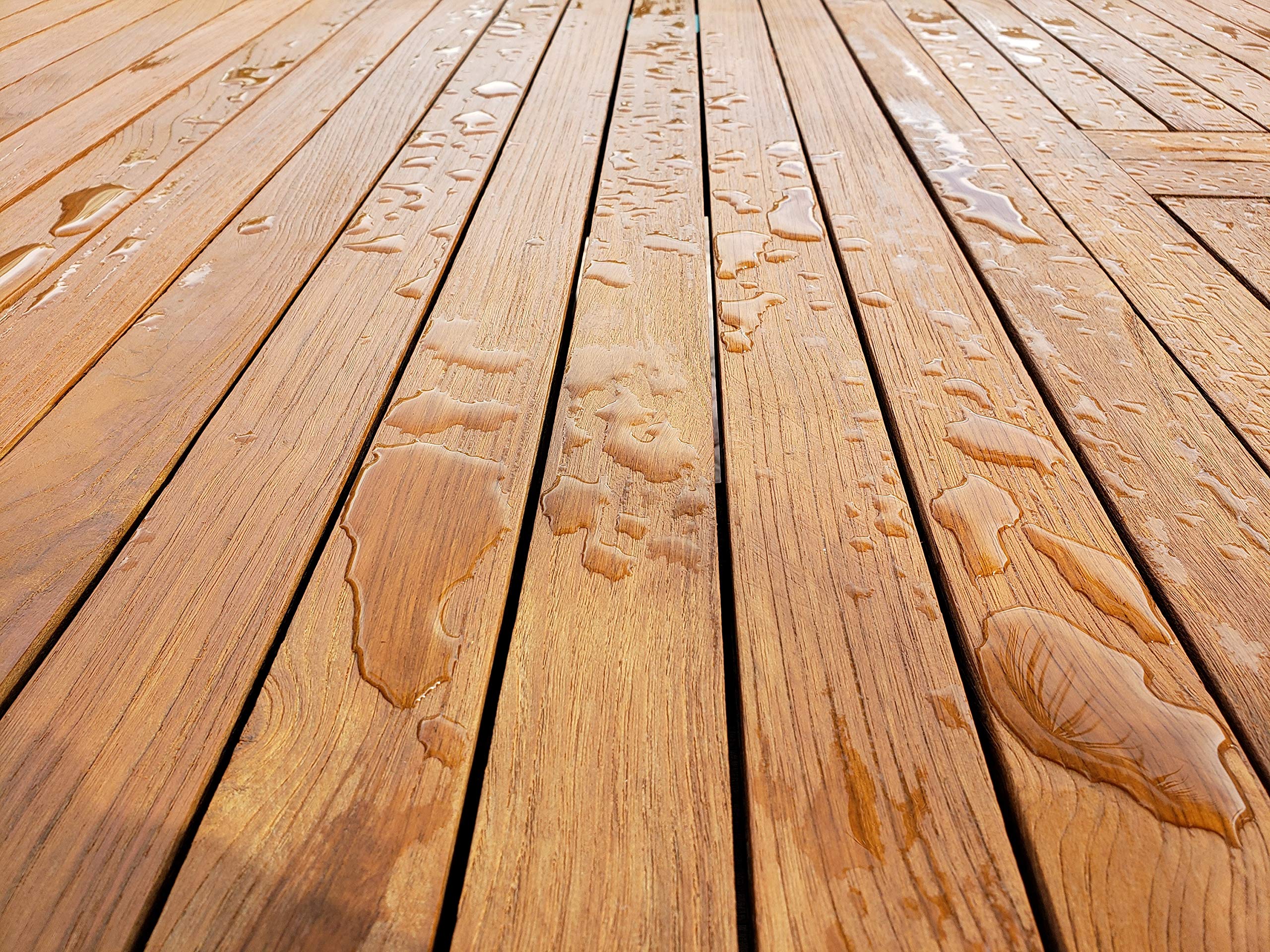 Star Brite Teak Sealer - One-Coat, Durable Protection For All Fine Woods - Perfect For Outdoor Furniture & Marine Use - Clear 1