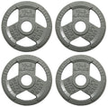 Fitvids Cast Iron Plate Weight Plate for Strength Training and Weightlifting, 2-Inch Center, 10LB (Set of 4)