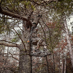 Xop Vanish Evolution - Cast Aluminum Hang On Tree Stand For Hunting - Deluxe Deer Stand