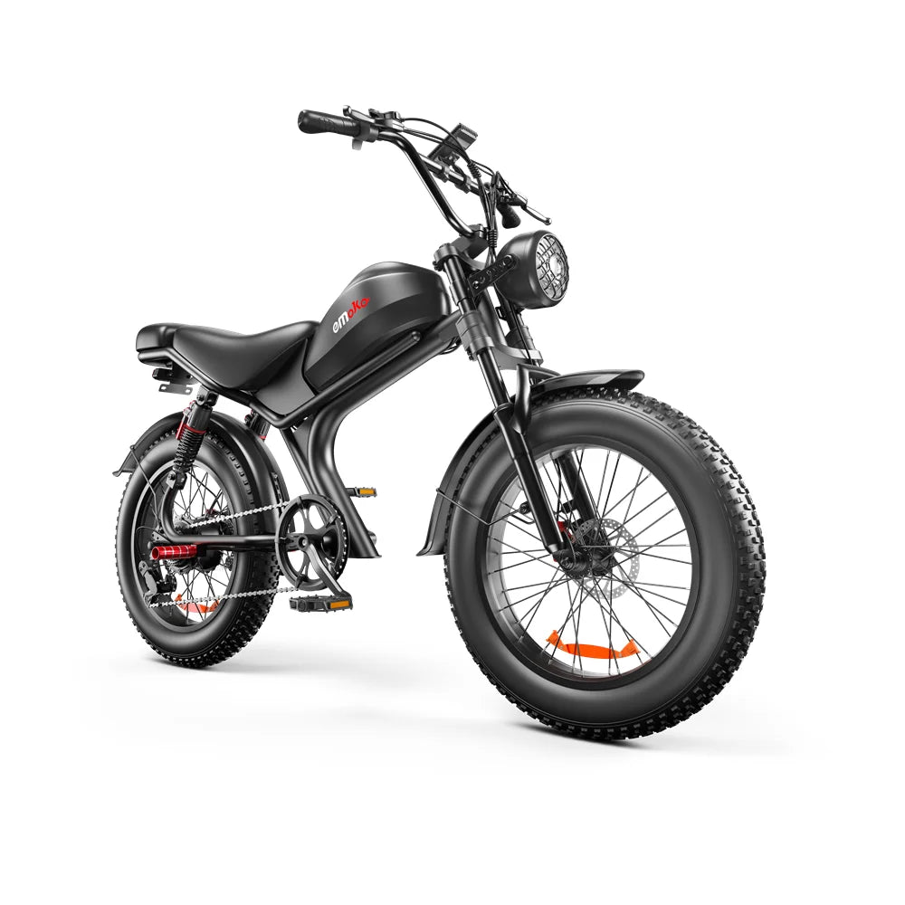 Emoko C93 adult E-bike 1000W 48V20Ah battery commute Electric Bike,20-inch Fat Tire E-Mountain bike