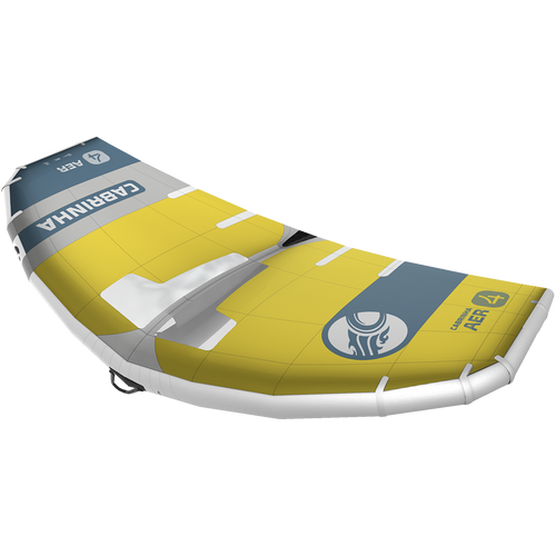 2025 AER