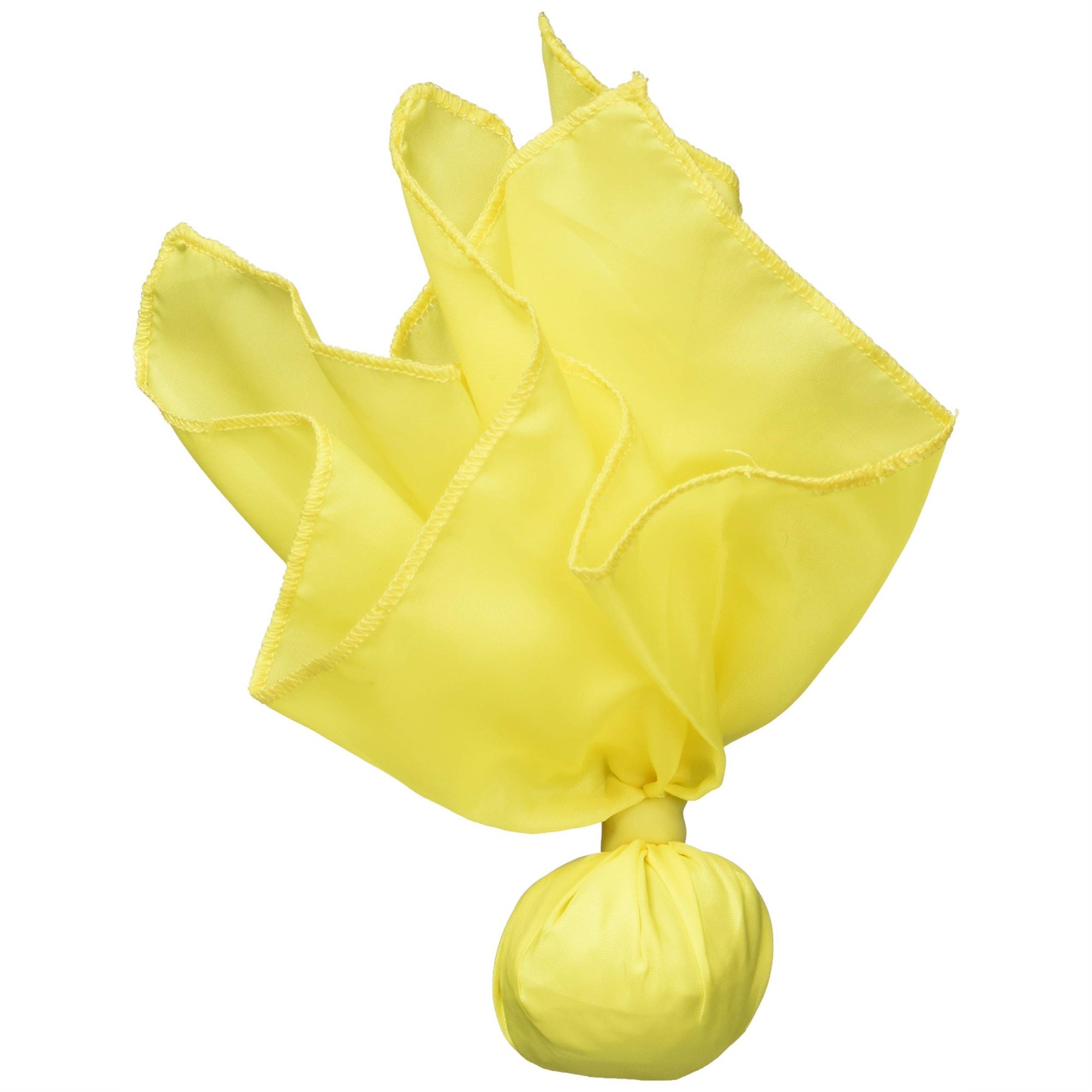 Bsn Official'S Penalty Flag