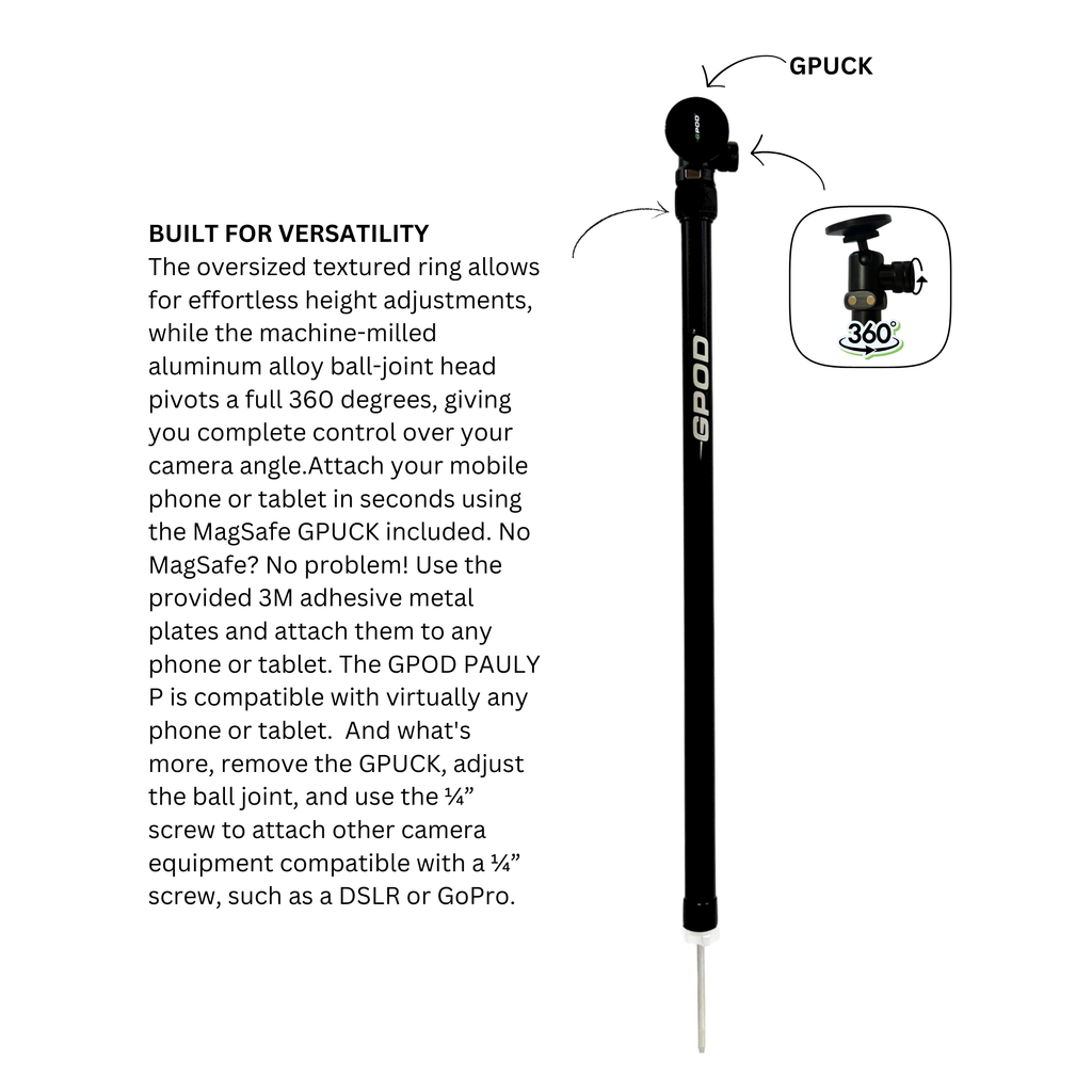 GPOD Pauly P + Base Bundle