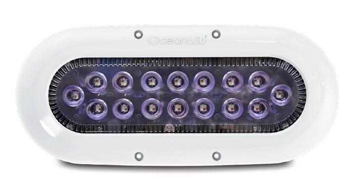 OceanLED X16 XSeries Midnight Blue LED