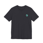 CABRINHA GREY MIAMI T