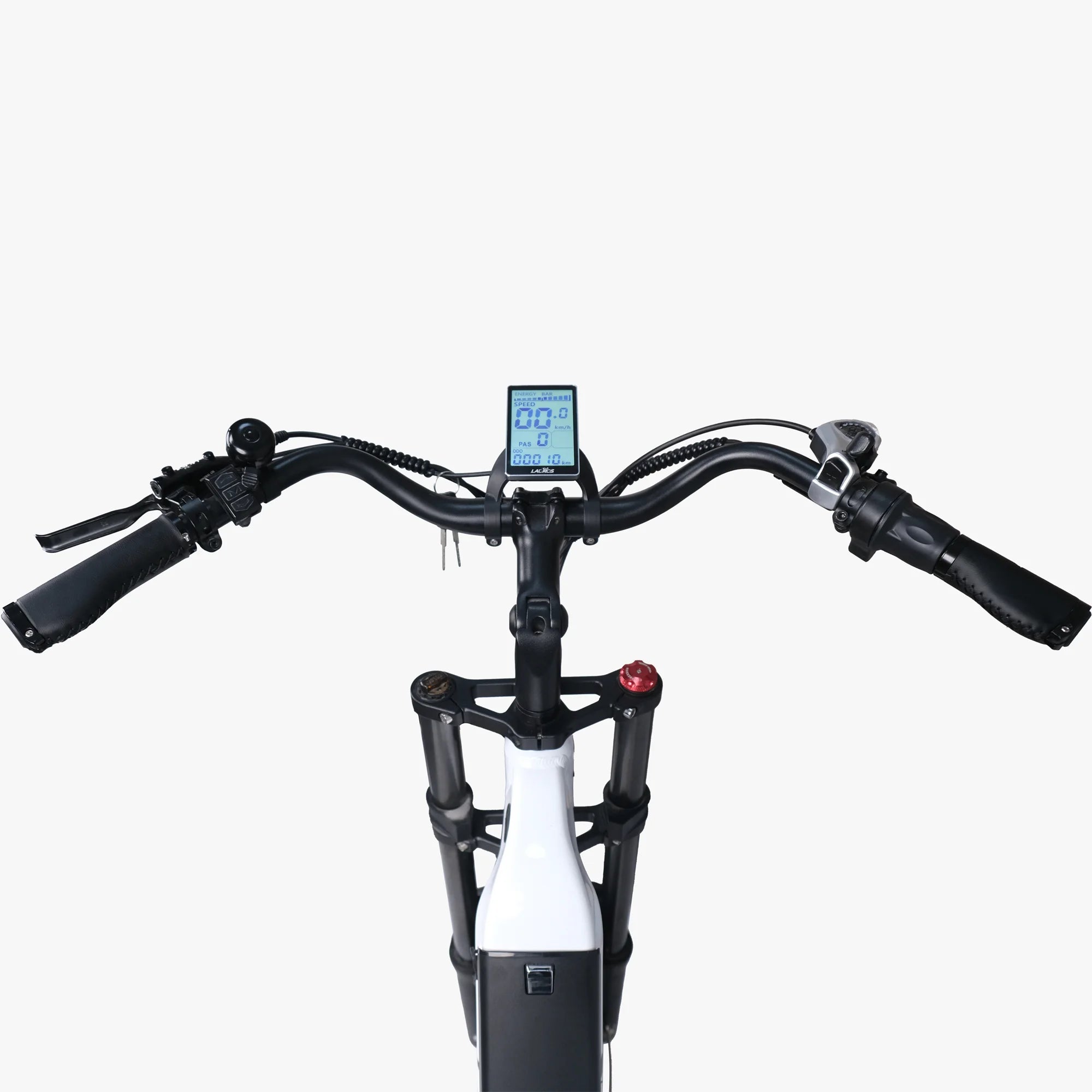 Lacros Cyclone adult E-bike，750W city ebike，48V20AH Electric Bike，20 Fat Tire E-Mountain bike