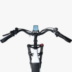 Lacros Cyclone adult E-bike，750W city ebike，48V20AH Electric Bike，20 Fat Tire E-Mountain bike