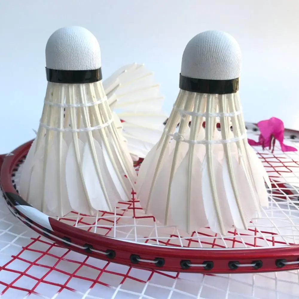 3/6/12Pcs New White Badminton Shuttlecock Durable Professional Badminton Balls Training Sport Badminton Trainer Household