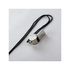 2 Pack Stainless Steel Sports Whistles with Lanyard - Loud Crisp Sound for Coaches Referees And Officials