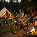 Off-Road Mountain Electric Bike,UL2849 Safety Certified,Made by Leading Manufacturer, Free US Local Warehouse Shipping