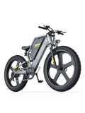Coswheel T26 adult E-bike 500W 48V20Ah battery commute Electric Bike,26-inch Fat Tire E-Mountain bike