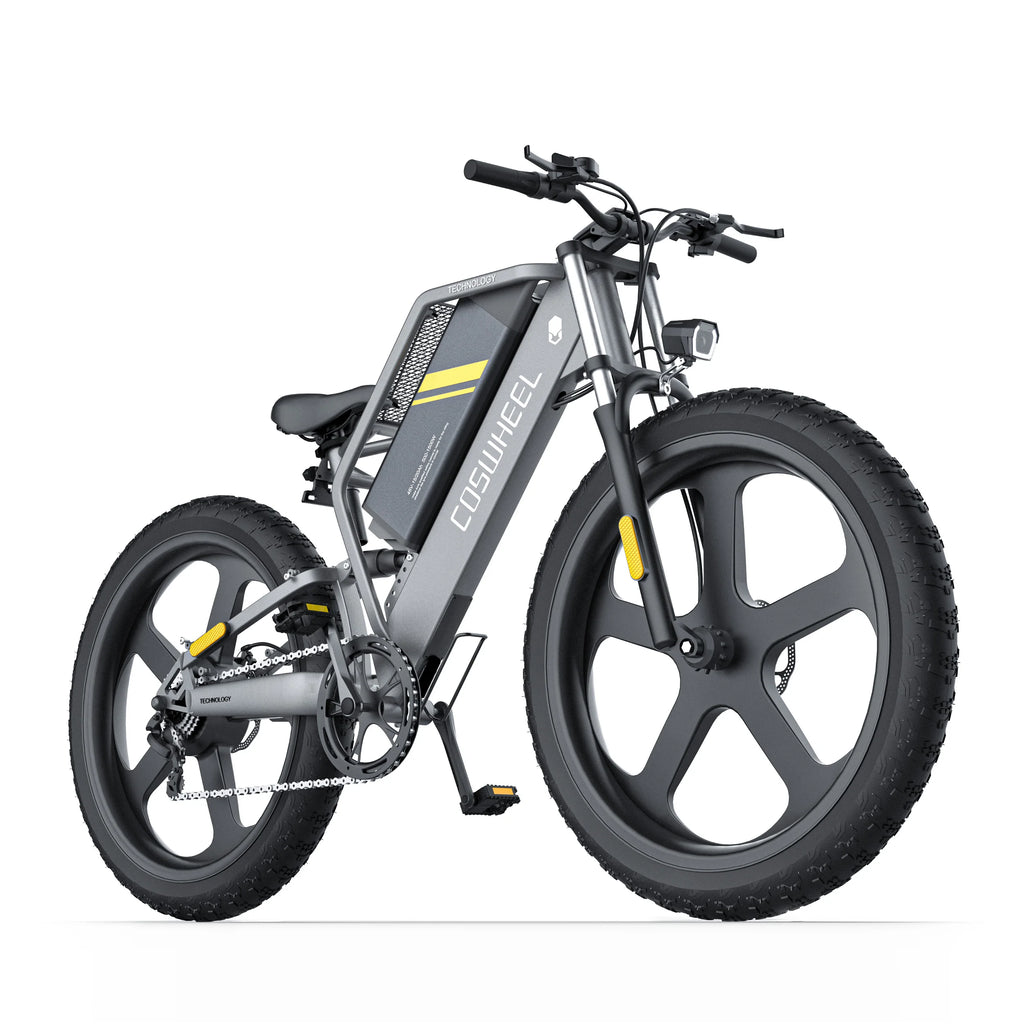 Coswheel T26 adult E-bike 500W 48V20Ah battery commute Electric Bike,26-inch Fat Tire E-Mountain bike