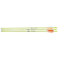 Bear Archery AS3800003 24 in. Safety Glass Vaned Arrows 3 Pack