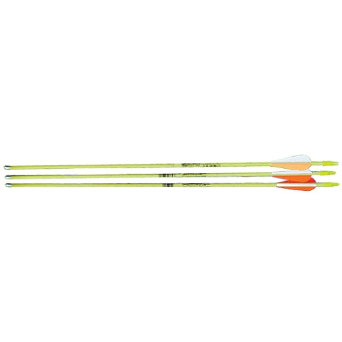 Bear Archery AS3800003 24 in. Safety Glass Vaned Arrows 3 Pack