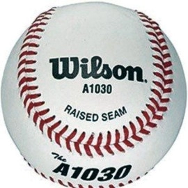 WILSON Sporting Goods Champion Series Baseballs, A1030, SST (One Dozen), White Pearl