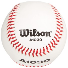 Wilson Champion Series Baseballs, A1030, Bucket (3 Dozen)