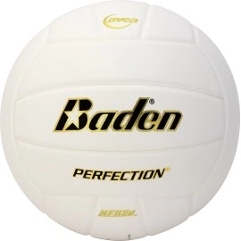 Baden Perfection Leather Volleyball, White