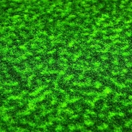 Fanmats - 9052 Mlb Tampa Bay Rays Nylon Face Putting Green Mat, 18X72