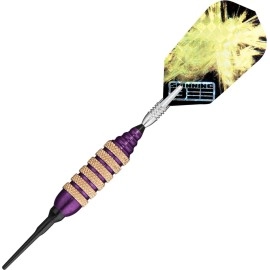 Viper Spinning Bee Soft Tip Darts with Casemaster Storage/Travel Case, Purple, 16 Grams