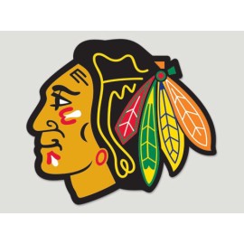 WinCraft NHL Chicago Blackhawks Die-Cut Color Decal, 8