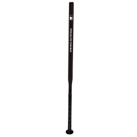 Franklin Sports MLB Baseball Training Bat + Balls - Thin Stick Training Bat for Hitting Practice - Skinny Mini Bat + Ball Set for Contact Batting - 30