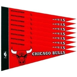Chicago Bulls NBA Mini Pennant Set (8)