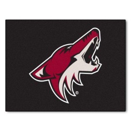 Fanmats 10657 Nhl Phoenix Coyotes Nylon All Star Rug