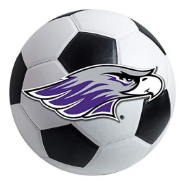 Fanmats 588 University Of Wisconsin-Whitewater Warhawks Nylon Soccer Ball Rug