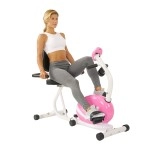 Sunny Health & Fitness P8400 Sunny Health & Fitness Magnetic Recumbent Bike Exe, Pink, 29 7 L x 12 2 W x 25 6 H