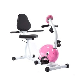 Sunny Health & Fitness P8400 Sunny Health & Fitness Magnetic Recumbent Bike Exe, Pink, 29 7 L x 12 2 W x 25 6 H