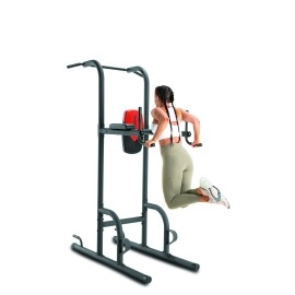 Weider Power Tower with 4 Workout Stations and 300 Lb. User Capacity