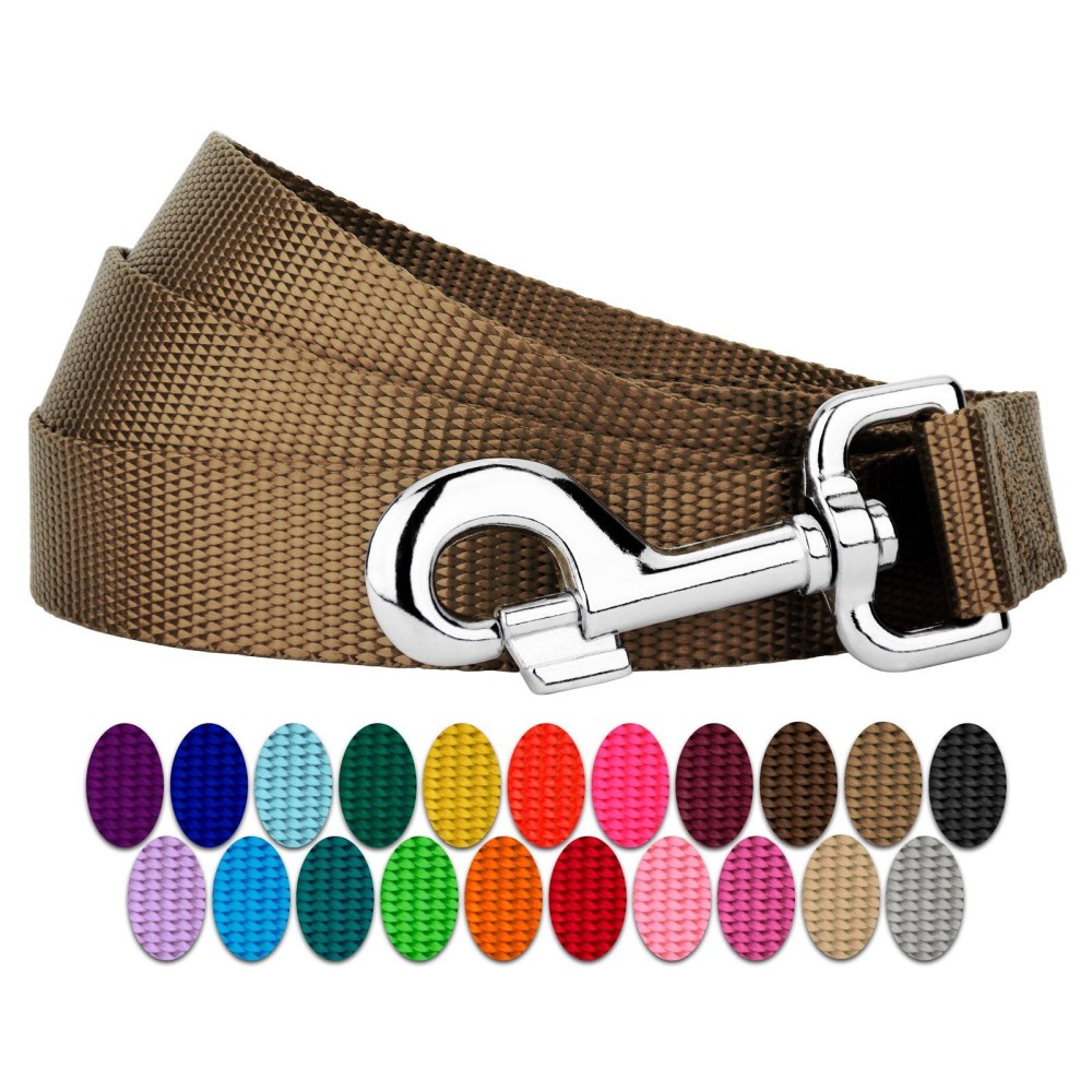 Country Brook Petz - 1 Inch Solid Color Nylon Dog Leash - Durable Clip - Soft Handle (1 Inch Wide, 4 Foot, Coyote Tan)