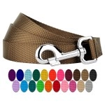 Country Brook Petz - 1 Inch Solid Color Nylon Dog Leash - Durable Clip - Soft Handle (1 Inch Wide, 4 Foot, Coyote Tan)