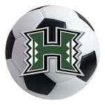 Fanmats 838 University Of Hawaii Rainbow Warriors Nylon Soccer Ball Rug