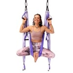 YOGABODY Yoga Trapeze Pro - Yoga Inversion Swing with Free Video Series and Pose Chart, Purple