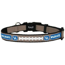 NCAA Kentucky Wildcats Reflective Football Collar, Medium