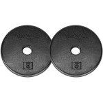 Yes4All 1-Inch Cast Iron Weight Plates For Dumbbells - Standard Weight Disc Plates (5 Lbs, Set Of 2)