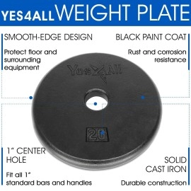 Yes4All 1-inch Cast Iron Weight Plates for Dumbbells - Standard Weight Disc Plates (20 lbs, Single)