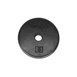 Yes4All 1-Inch Cast Iron Weight Plates For Dumbbells - Standard Weight Disc Plates (5 Lbs, Single)