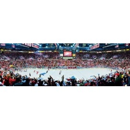 MasterPieces 1000 Piece Sports Jigsaw Puzzle - NHL Detroit Red Wings Center View Panoramic - 13