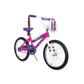 Dynacraft 8109-25Ztj Girls Sapphire Magna Bike, Silver / Pink, 20