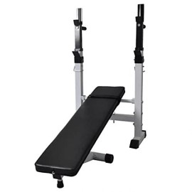 Vidaxl Fitness Workout Bench Steel Home Gym Straight Weight Lift Flat Incline