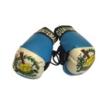 Flag Mini Small Boxing Gloves to Hang Over Car Automobile Mirror - Americas(1-Pack, Country: Guatemala)