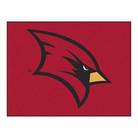 Fanmats 1652 Team Color 33.75 X 42.5 All-Star Mat (Saginaw Valley State)