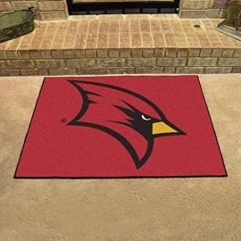 Fanmats 1652 Team Color 33.75 X 42.5 All-Star Mat (Saginaw Valley State)