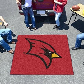 Fanmats 1653 Saginaw Valley State Tailgater Rug