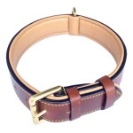 Soft Touch Collars Padded Leather Dog Collar, Large Brown, Real Genuine Leather, 24