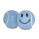 Pre-Cut Walker Glide Balls - 15 Colors & Styles (Smiley - Blue)